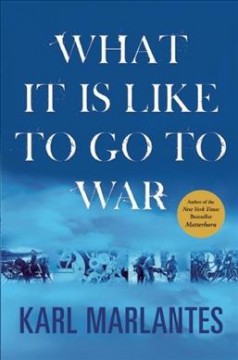 What it is like to go to war  Cover Image