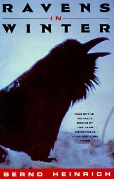 Ravens in winter  Cover Image