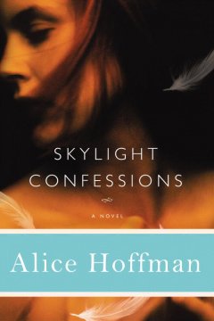 Skylight confessions  Cover Image