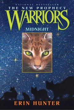 Midnight  Cover Image
