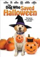 Go to record The dog who saved Halloween