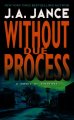 Go to record Without due process : a J. P. Beaumont mystery