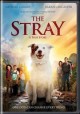 Go to record The stray : a true story