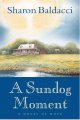Go to record A sundog moment