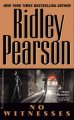 Go to record No witnesses : a novel