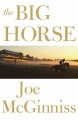 Go to record The big horse