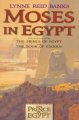 Go to record Moses in Egypt : a novel inspired by the Prince of Egypt a...