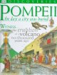 Go to record Pompeii : the day a city was buried